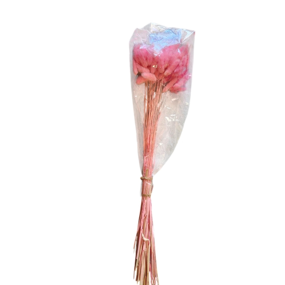 Dried Pink Bunny Tail Flowers